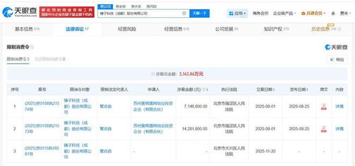 羅永浩名下錘子科技再收限消令 基礎軟件服務面臨挑戰(zhàn)